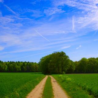 Cool summer scenes wallpaper