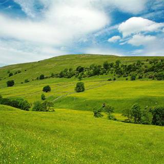 Cool summer scenes wallpaper