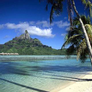 Cool summer scenes wallpaper