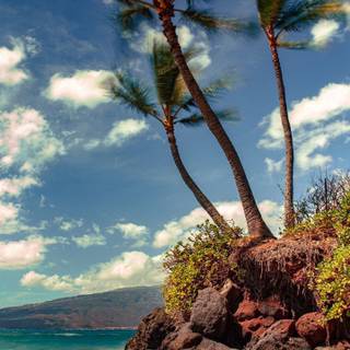 Cool summer scenes wallpaper