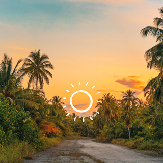 Nature summer phone wallpaper