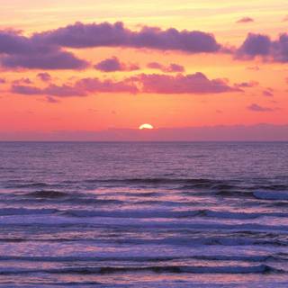 Summer aesthetic laptop wallpaper