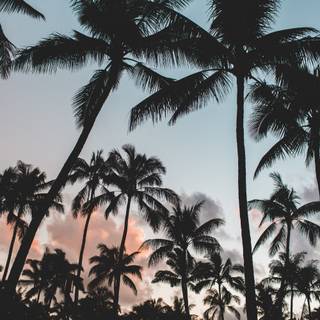 Summer aesthetic 4K wallpaper