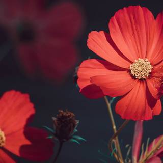 Summer aesthetic 4K wallpaper