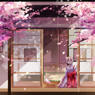 Blooming Cherry Blossoms wallpaper