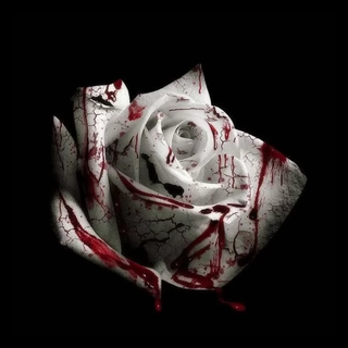 Romantic Homicide wallpaper