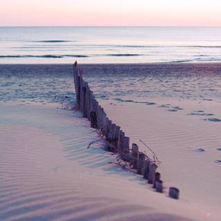 Beach preppy wallpaper