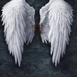 Lucifer angel wallpaper