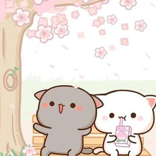 Anime spring cats wallpaper