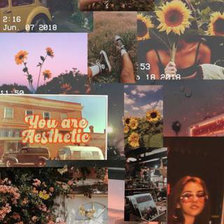 Aesthetic vintage spring collage wallpaper