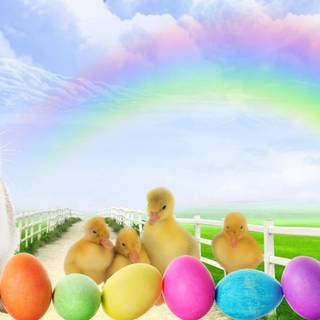 Easter bunny desktop wallpaper