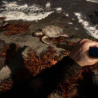 Sons Of The Forest HD wallpaper