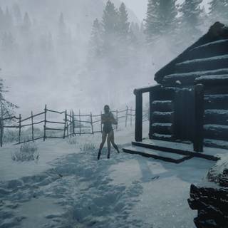 Sons Of The Forest HD wallpaper