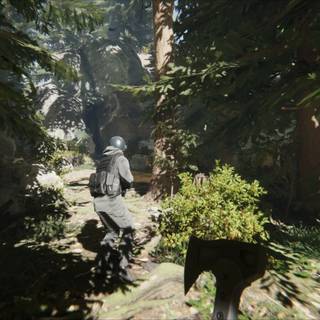 Sons Of The Forest HD wallpaper