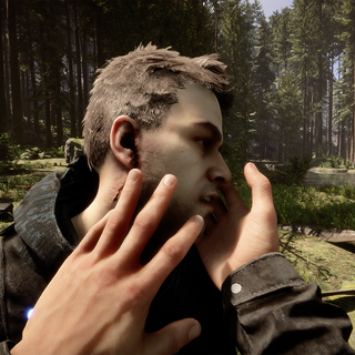 Sons Of The Forest HD wallpaper