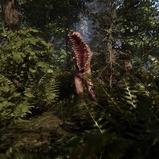 Sons Of The Forest HD wallpaper