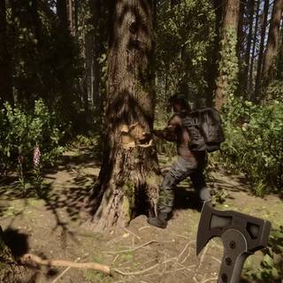 Sons Of The Forest HD wallpaper