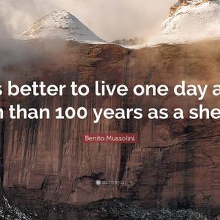 One Day as a Lion wallpaper