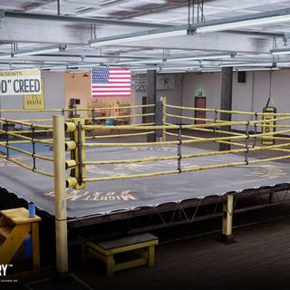 Creed: Rise to Glory - Championship Edition wallpaper