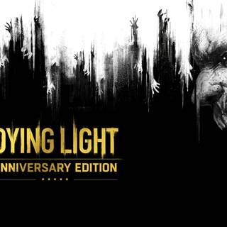 Dying Light Enhanced Edition wallpaper
