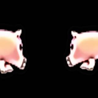 Conan The Mighty Pig wallpaper