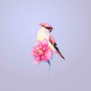 Huawei Mate X3 wallpaper