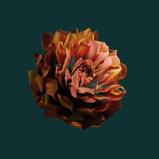 Huawei Mate X3 wallpaper