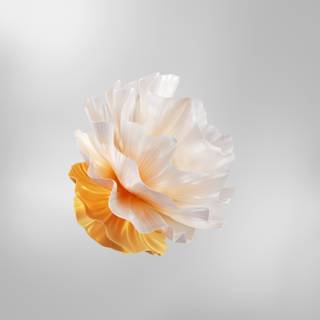 Huawei P60 Pro wallpaper