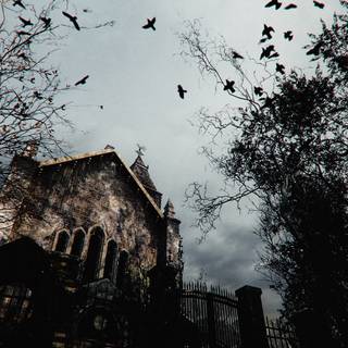 RE4 Remake wallpaper