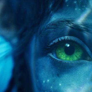 Kiri Avatar wallpaper