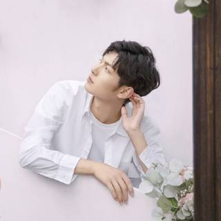 Fan Zhi Xin wallpaper