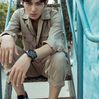 Fan Zhi Xin wallpaper