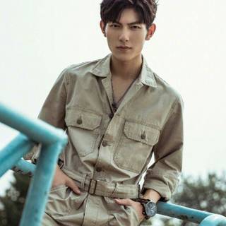 Fan Zhi Xin wallpaper