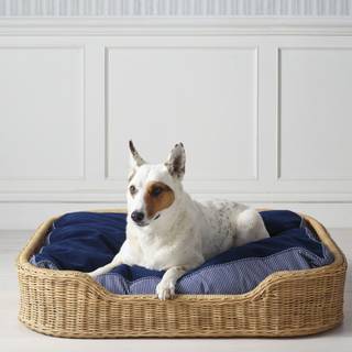Dog beds wallpaper