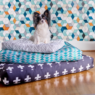 Dog beds wallpaper