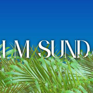 Palm Sunday 2023 wallpaper