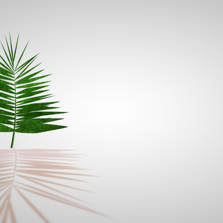 Palm Sunday 2023 wallpaper