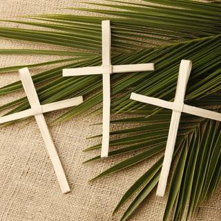 Palm Sunday 2023 wallpaper