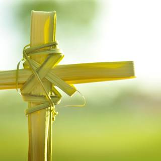 Palm Sunday 2023 wallpaper