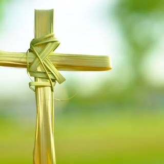 Palm Sunday 2023 wallpaper