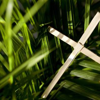 Palm Sunday 2023 wallpaper