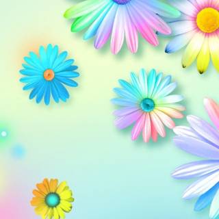 Colorful daisy wallpaper