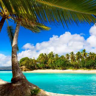 Summer tropical vacation HD wallpaper