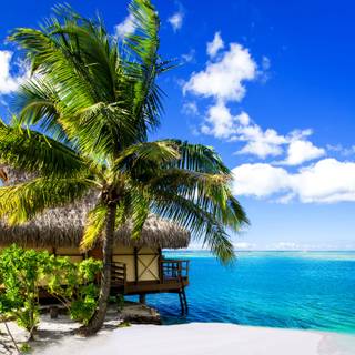 Summer tropical vacation HD wallpaper