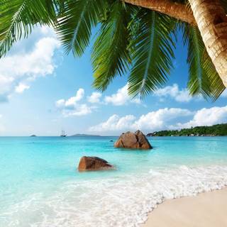 Summer tropical vacation HD wallpaper