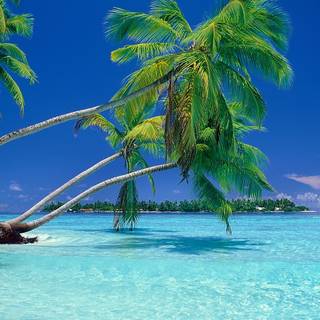 Summer tropical vacation HD wallpaper