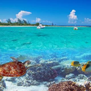 Summer tropical vacation HD wallpaper