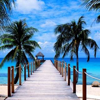 Summer tropical vacation HD wallpaper
