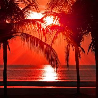 Summer tropical vacation HD wallpaper