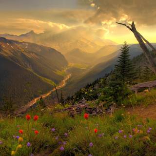 Amazing landscape HD wallpaper